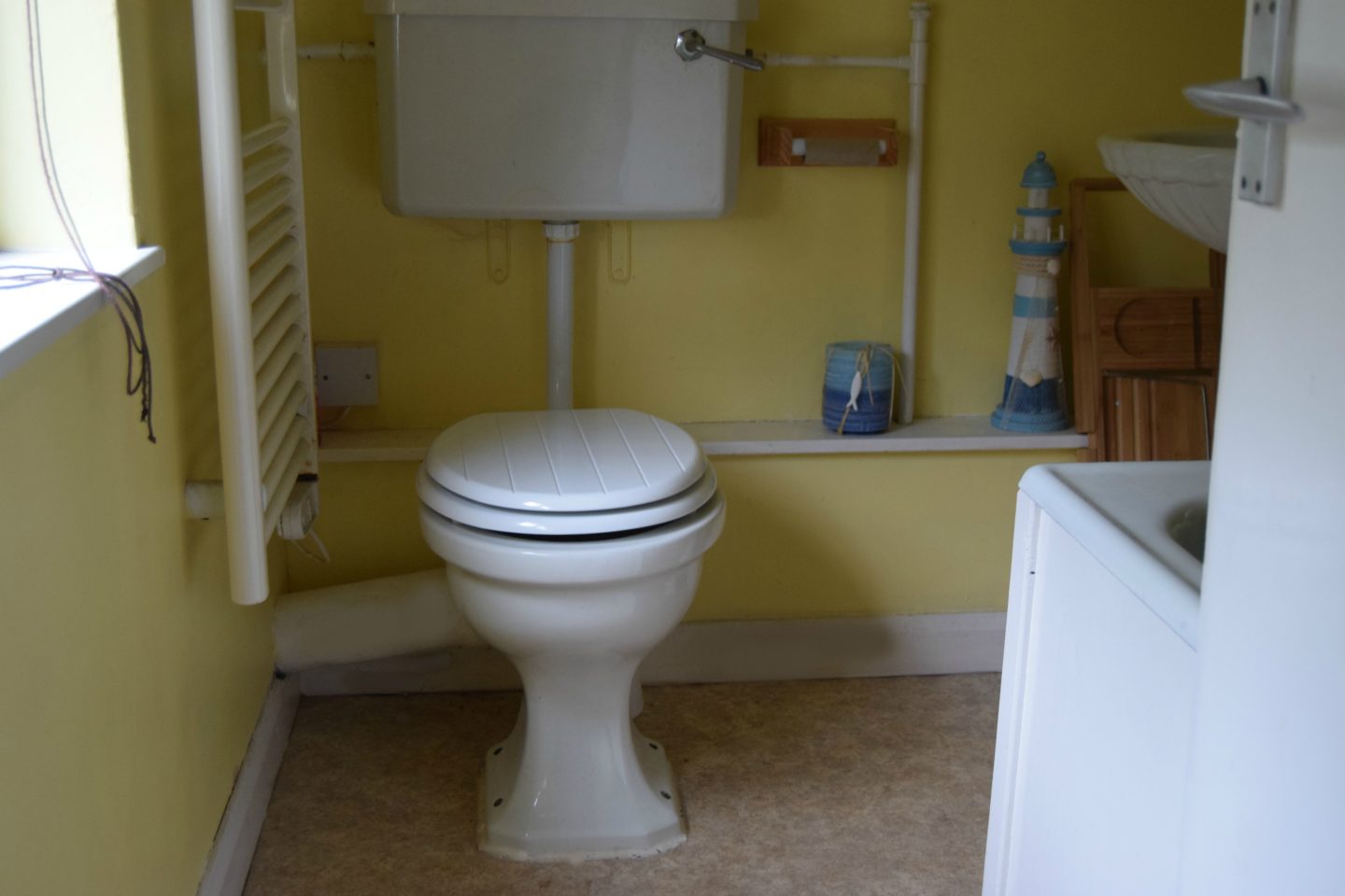 old toilet before renovation