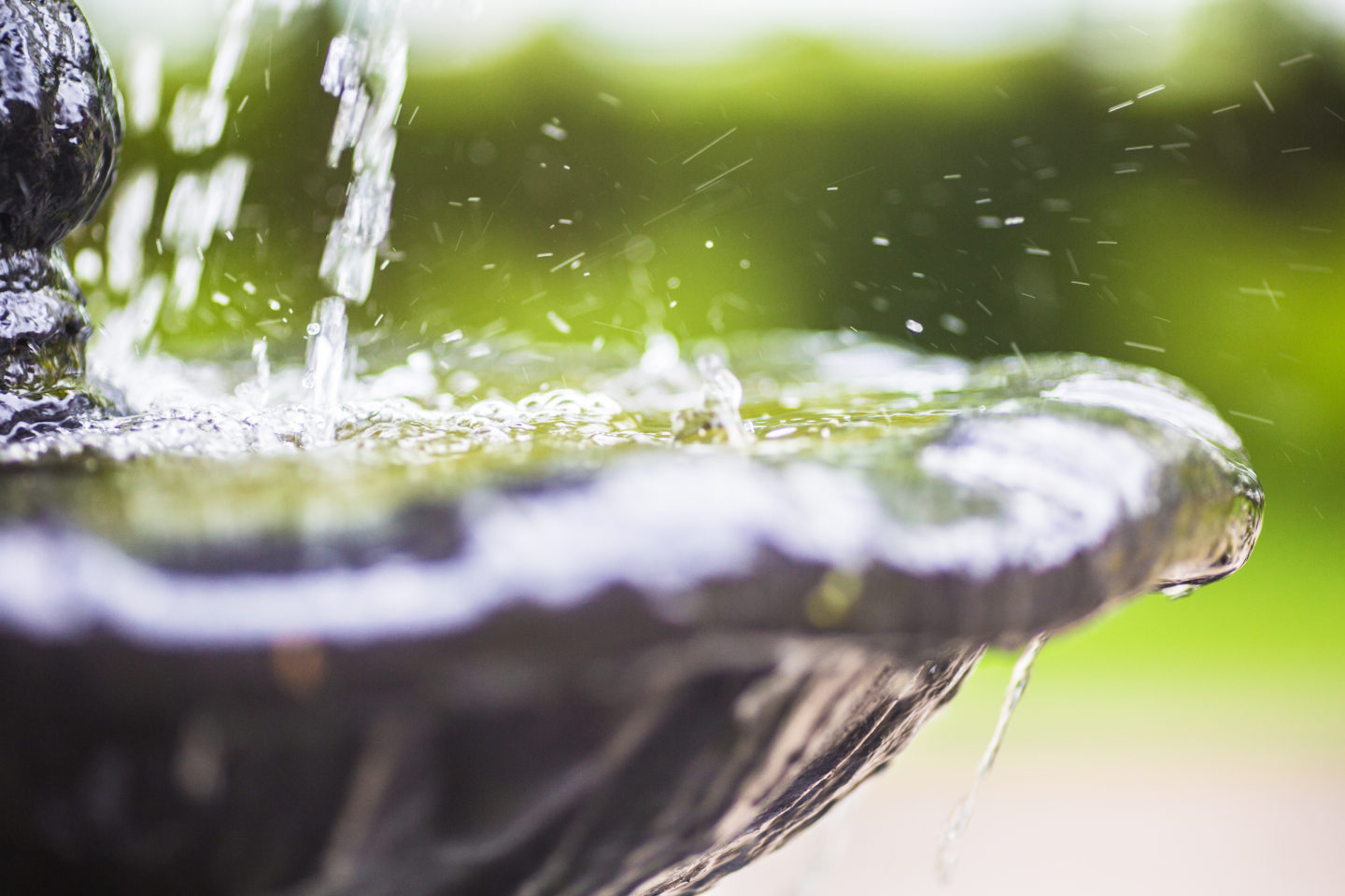 water feature