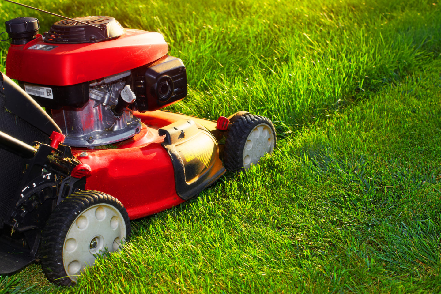 Mower