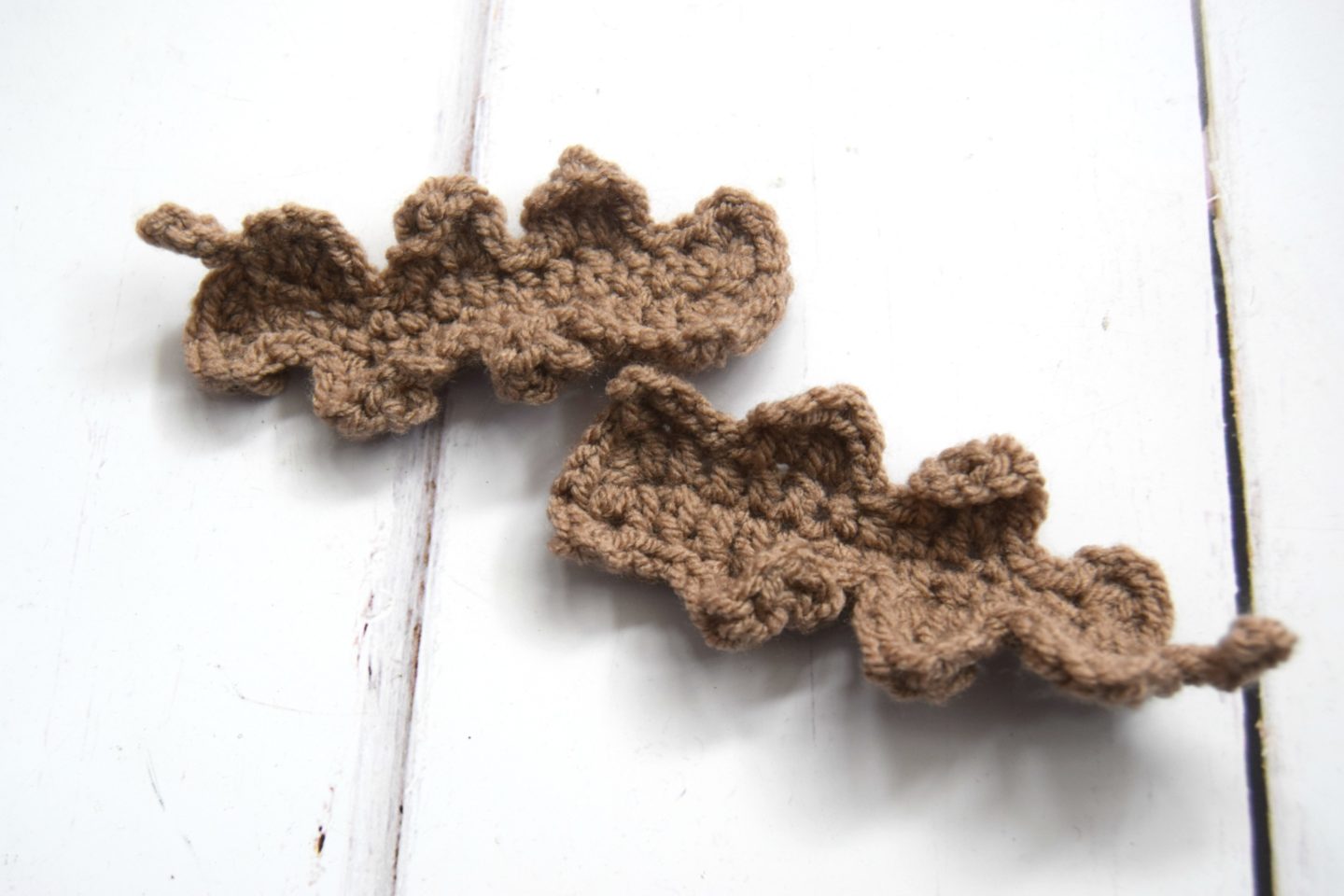 Oak leaves