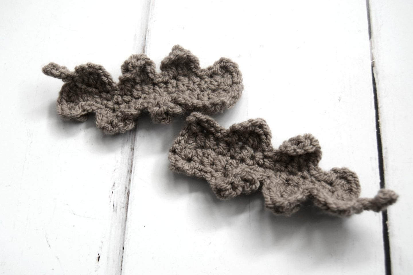 Oak leaves1