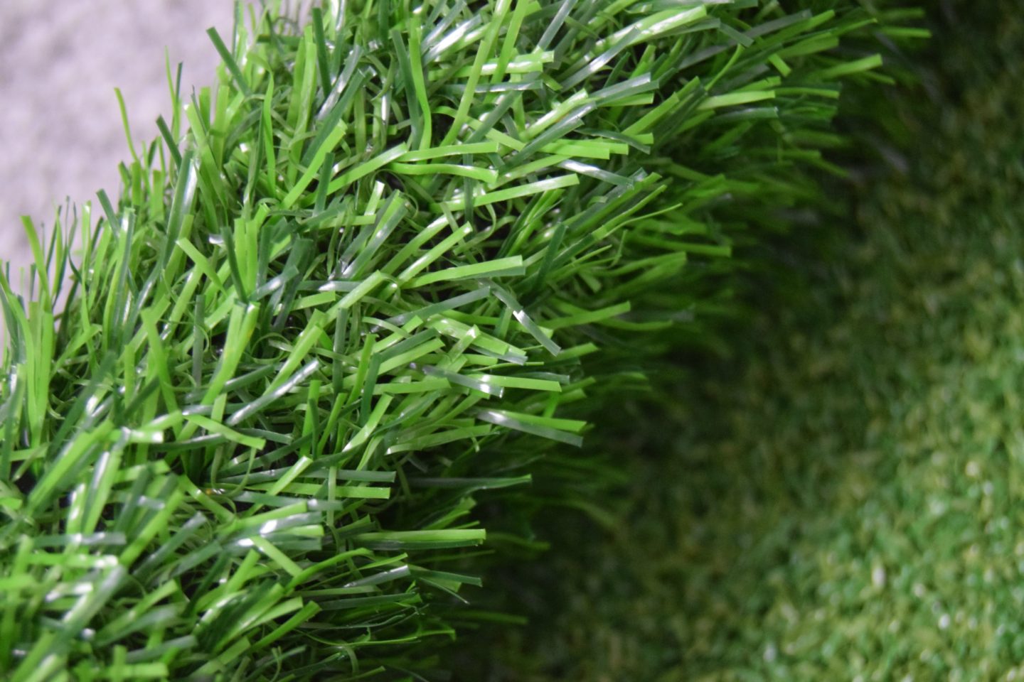 hedge
