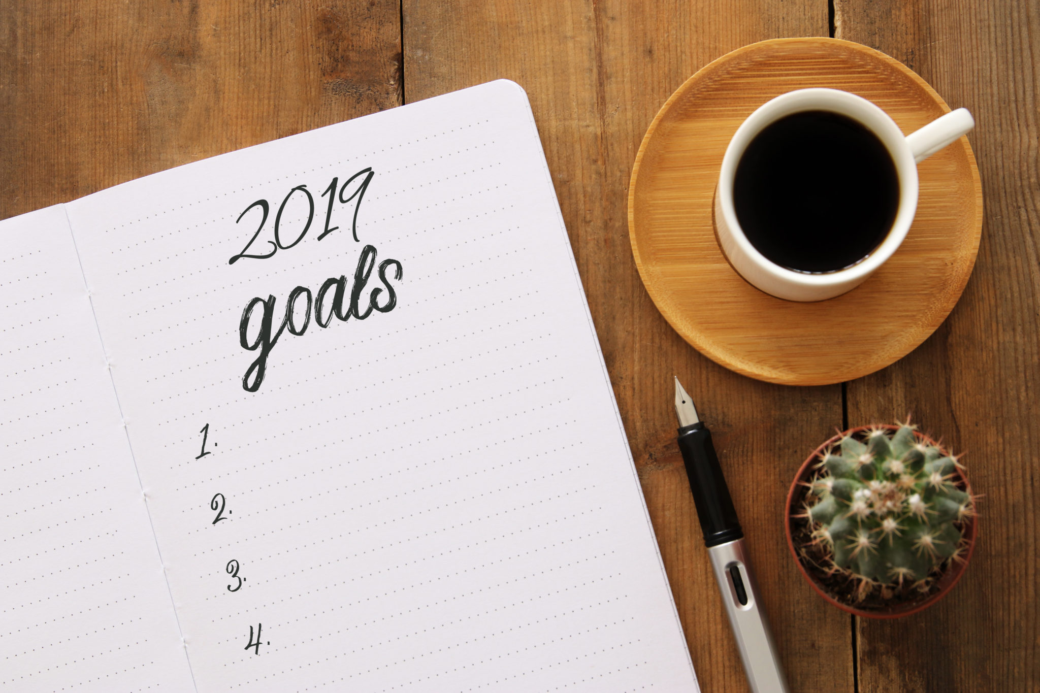 2019 goals