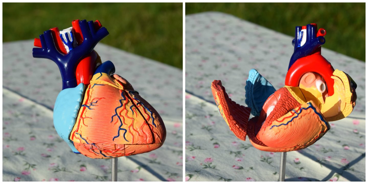 Heart collage