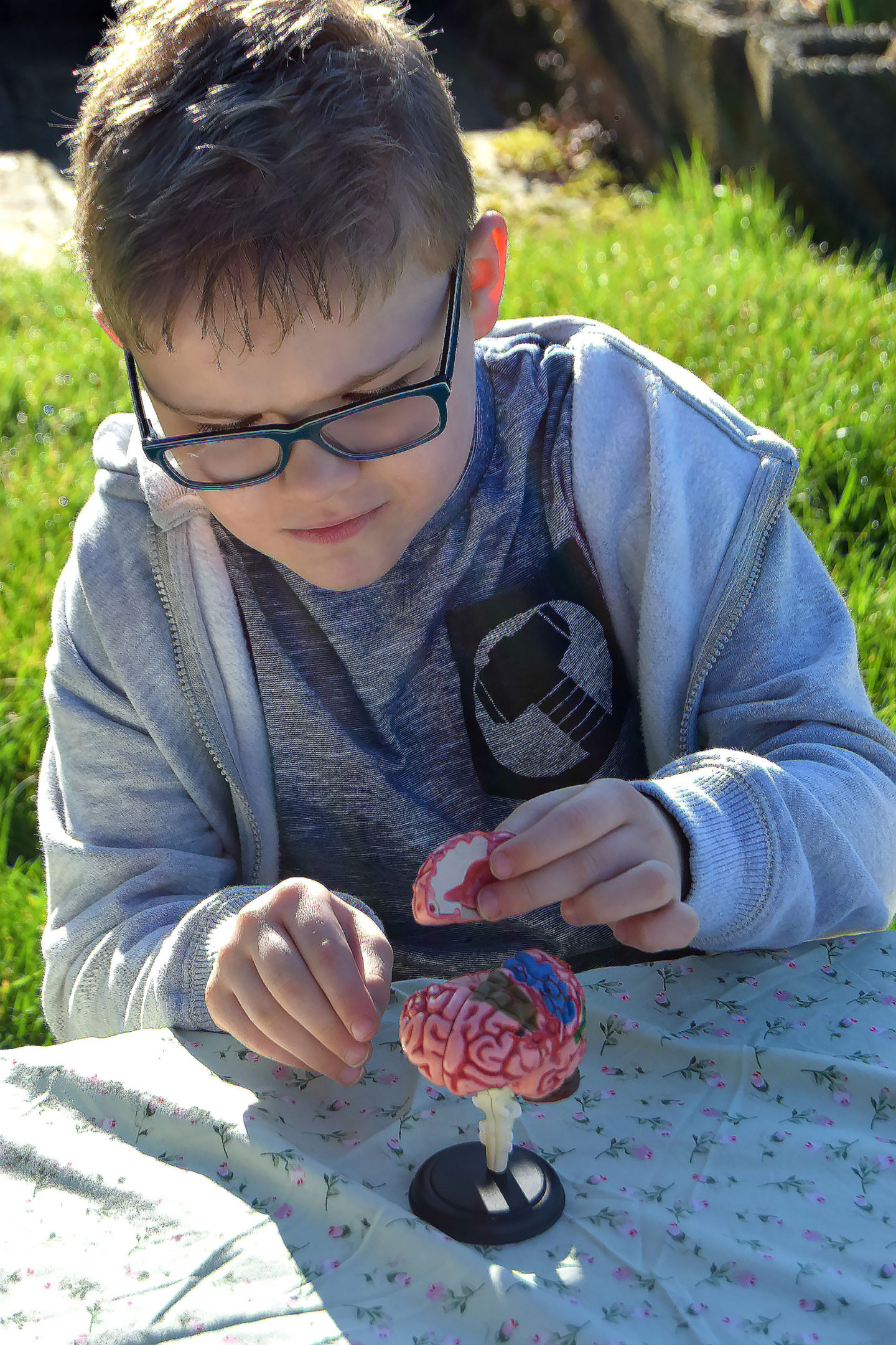 building the brain 2