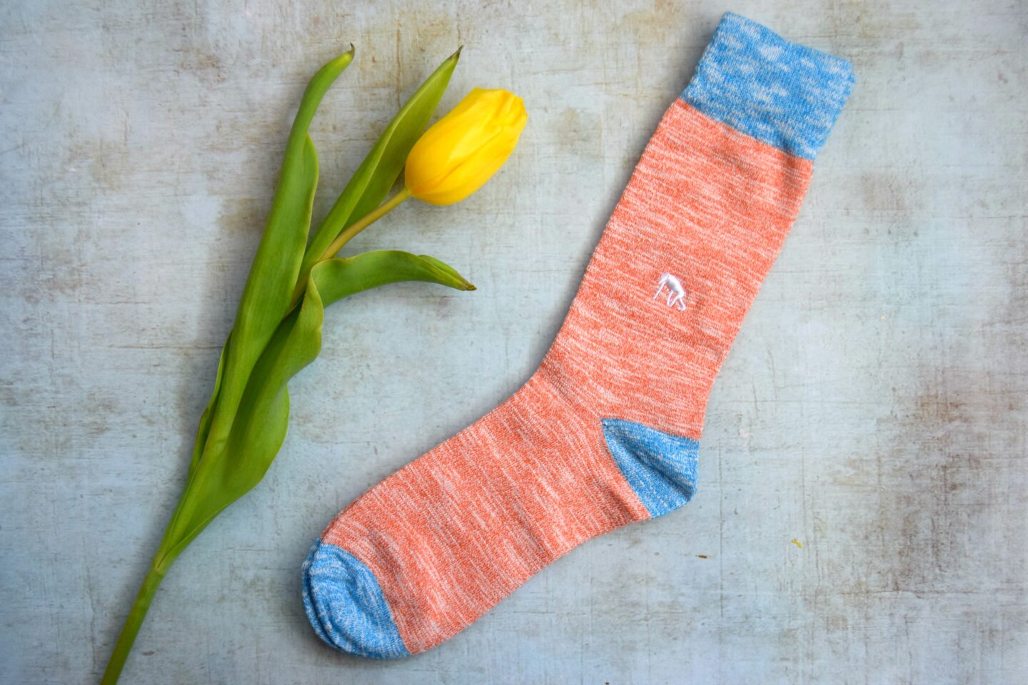 Critically Endangered Animals women's socks