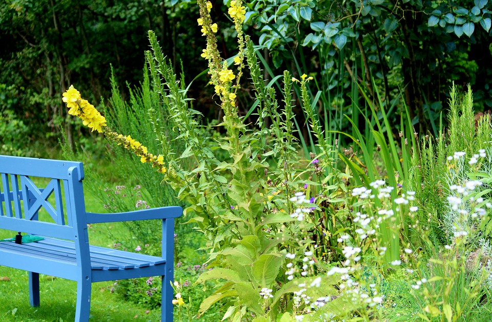 A garden bench in a country garden