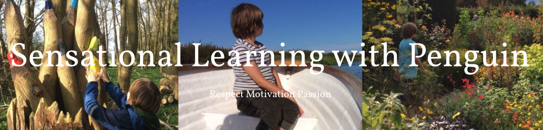 Sensational Learning With Penguin Blog Header