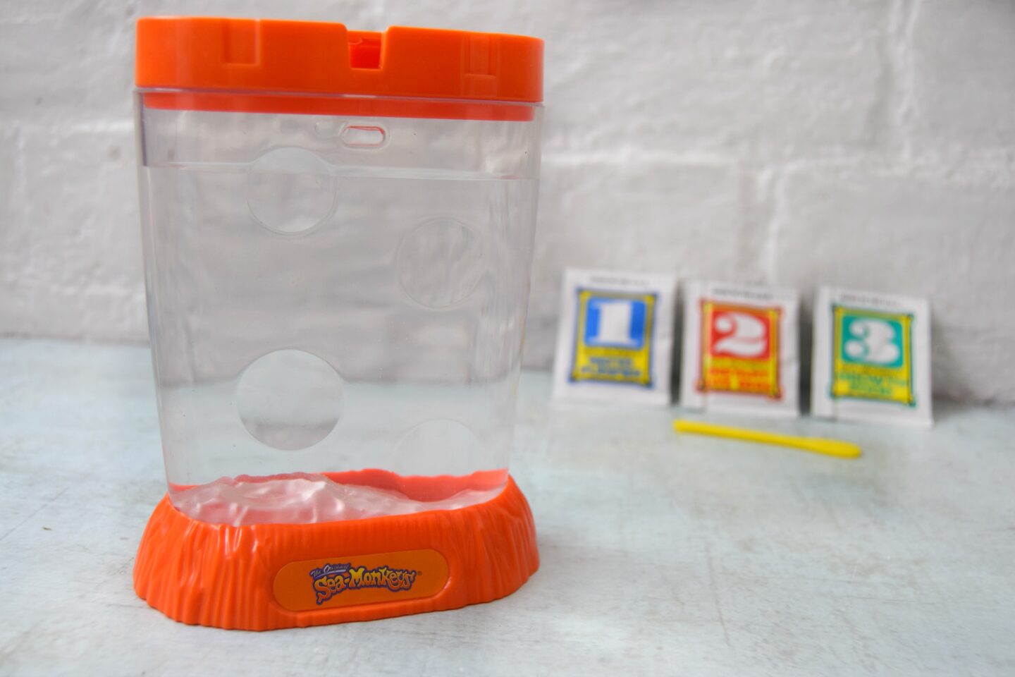 sea monkeys kit
