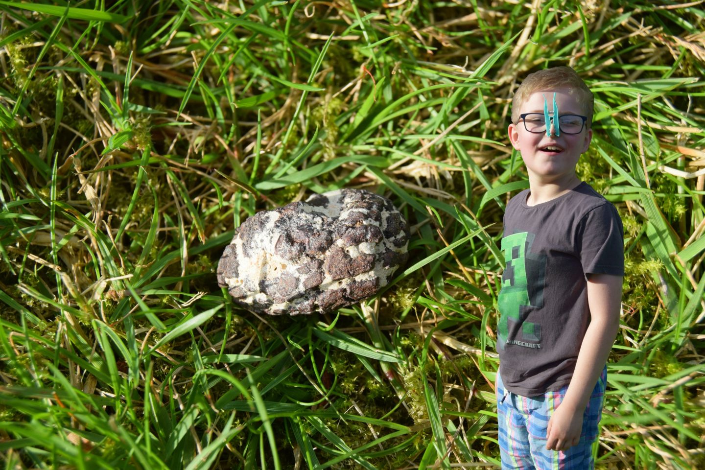 dinosaur poo fossil from the national geographic dig kit