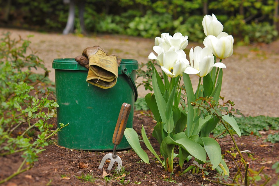 Jobs to do in the garden. Gardening tools on a garden border.