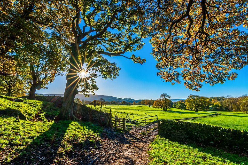 green fields and blue skies in the countryside