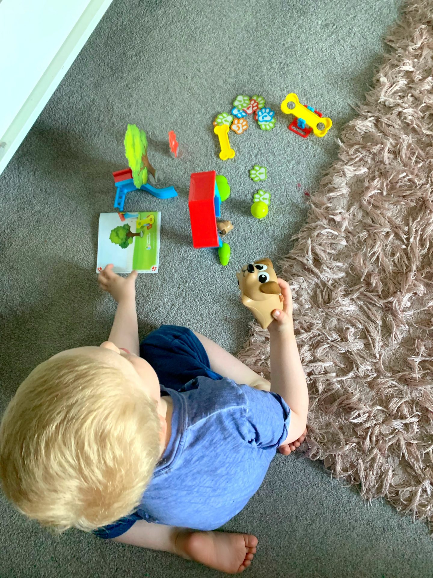 Playing with Coding Critters
