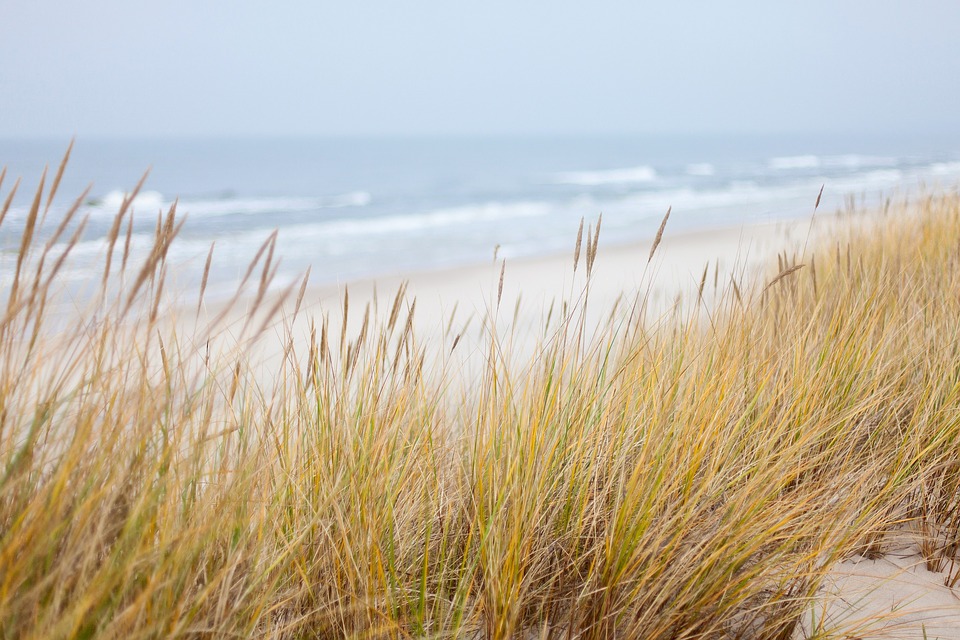 Suffolk beaches and holiday cottages