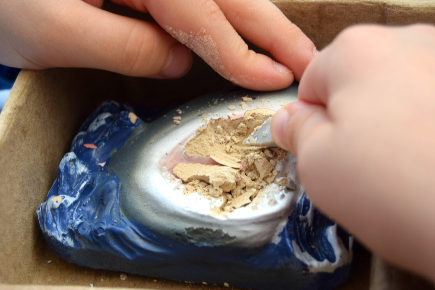 National geographic shark tooth dig kit