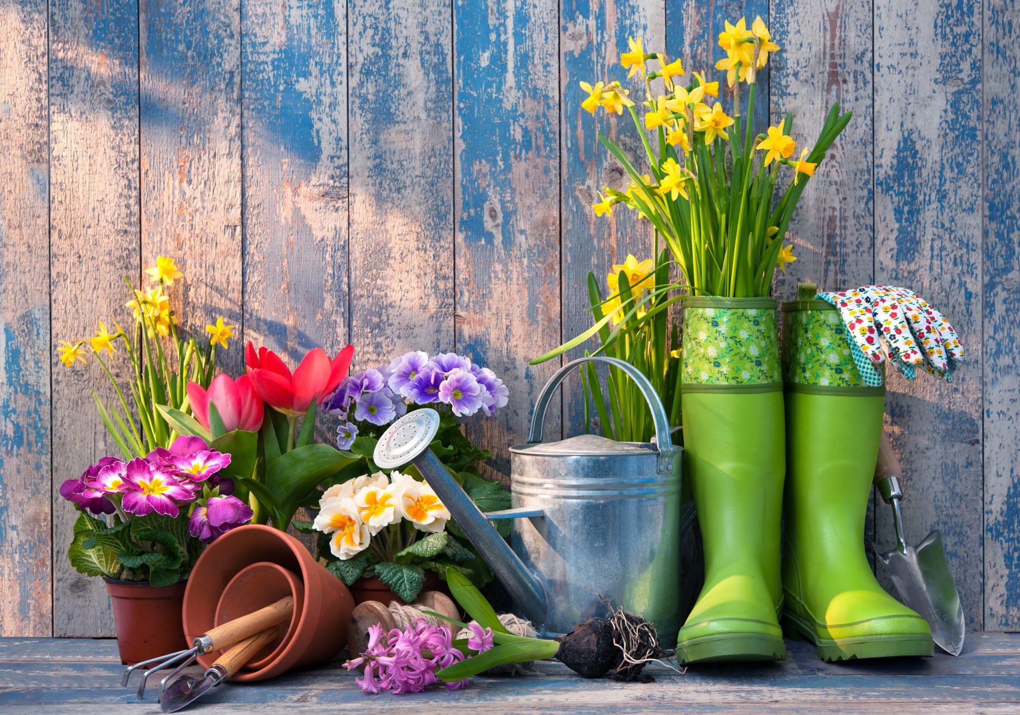 Skills That Children Can Learn From Gardening