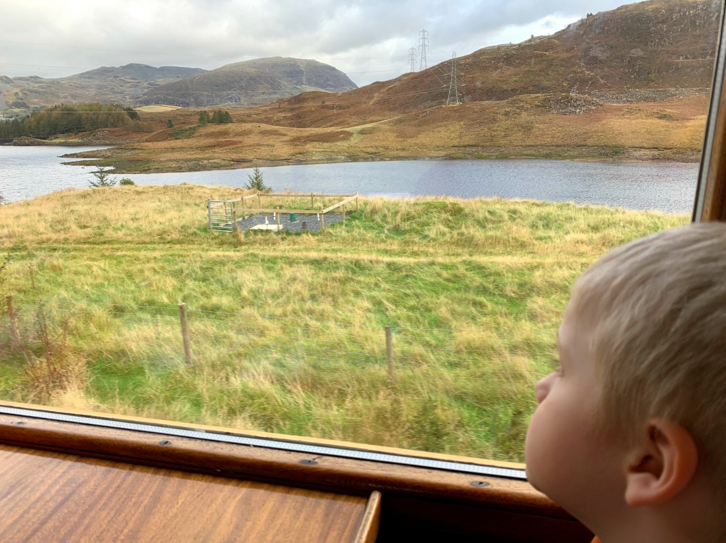 Little man admiring the view on the Ffestiniog train