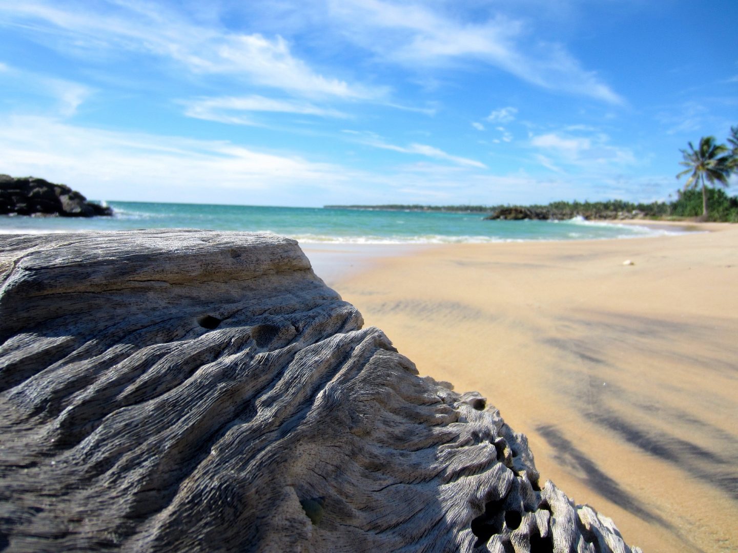 Sri Lanka beach