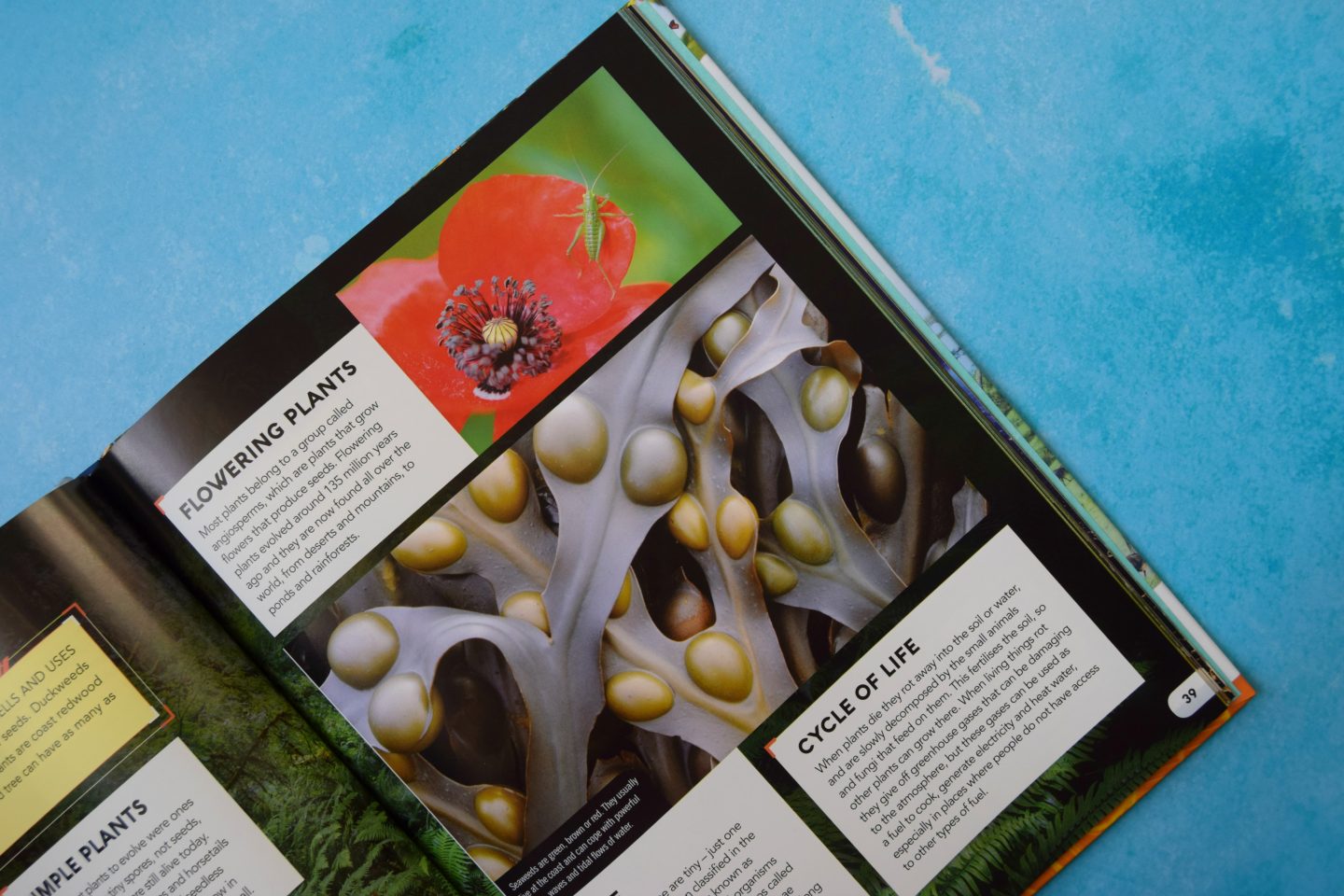 Living Planet educational books for kids