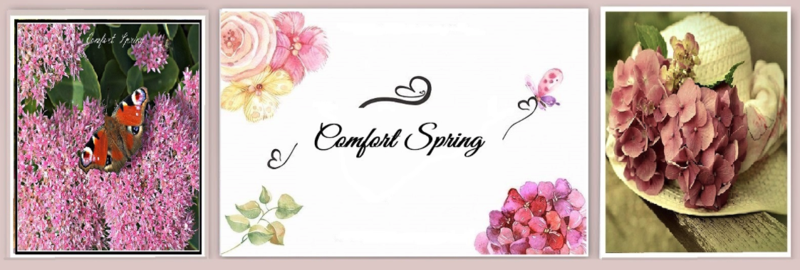 Comfort Spring blog header