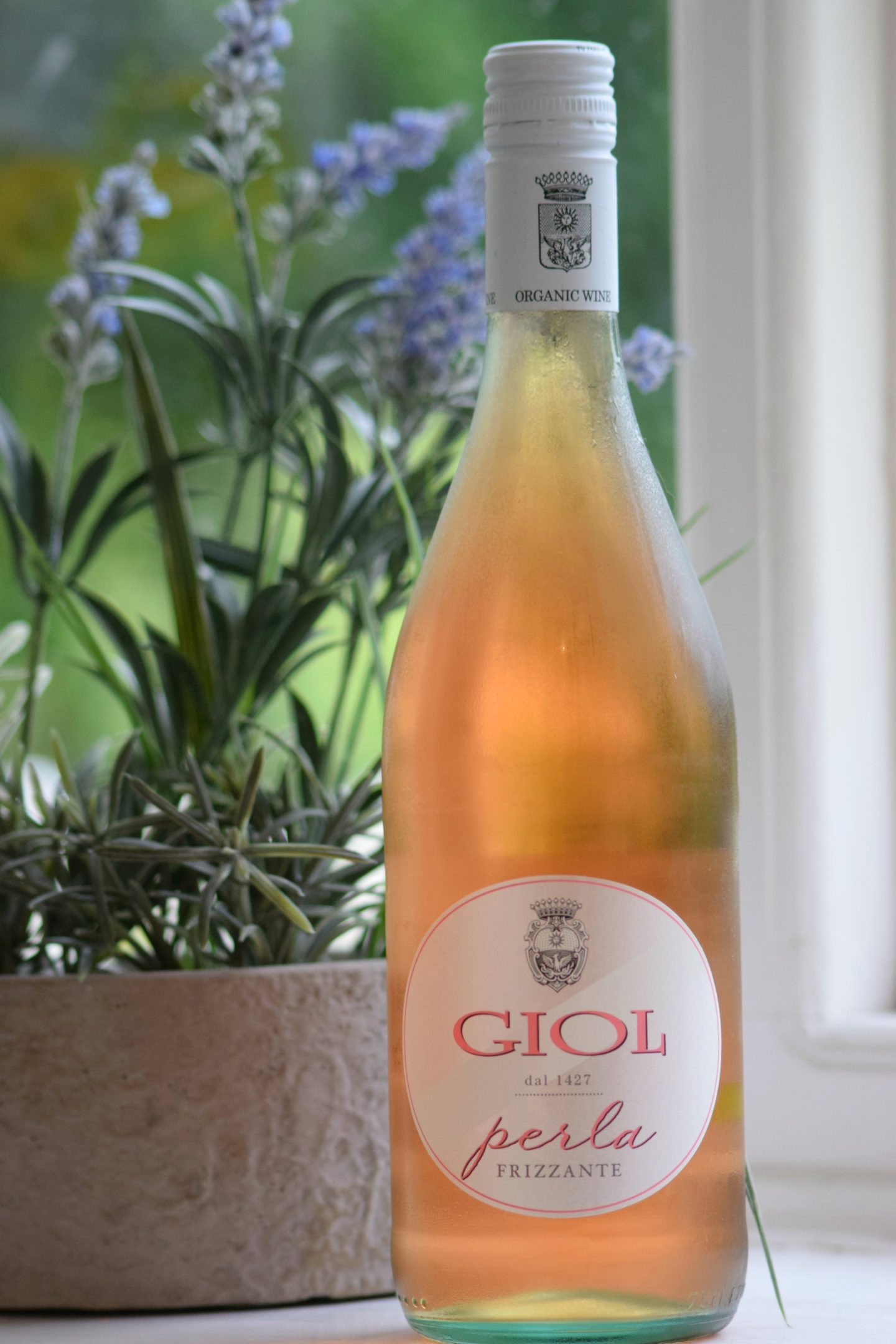 Giol wine