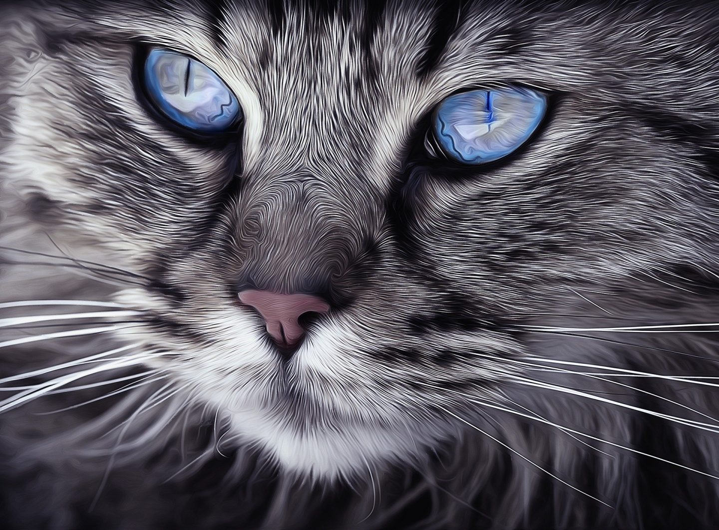 A cat with blue eyes