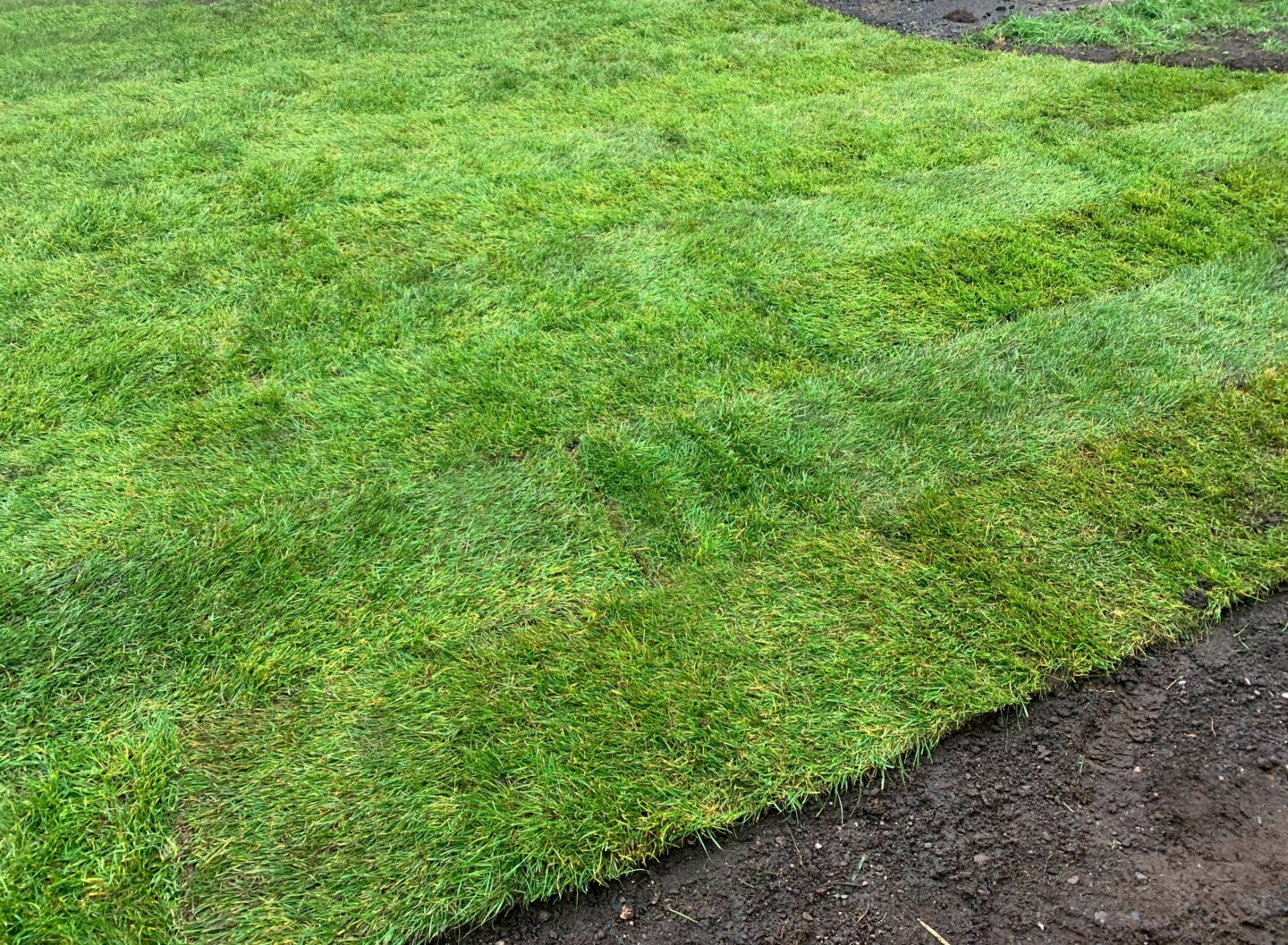 Laying turf