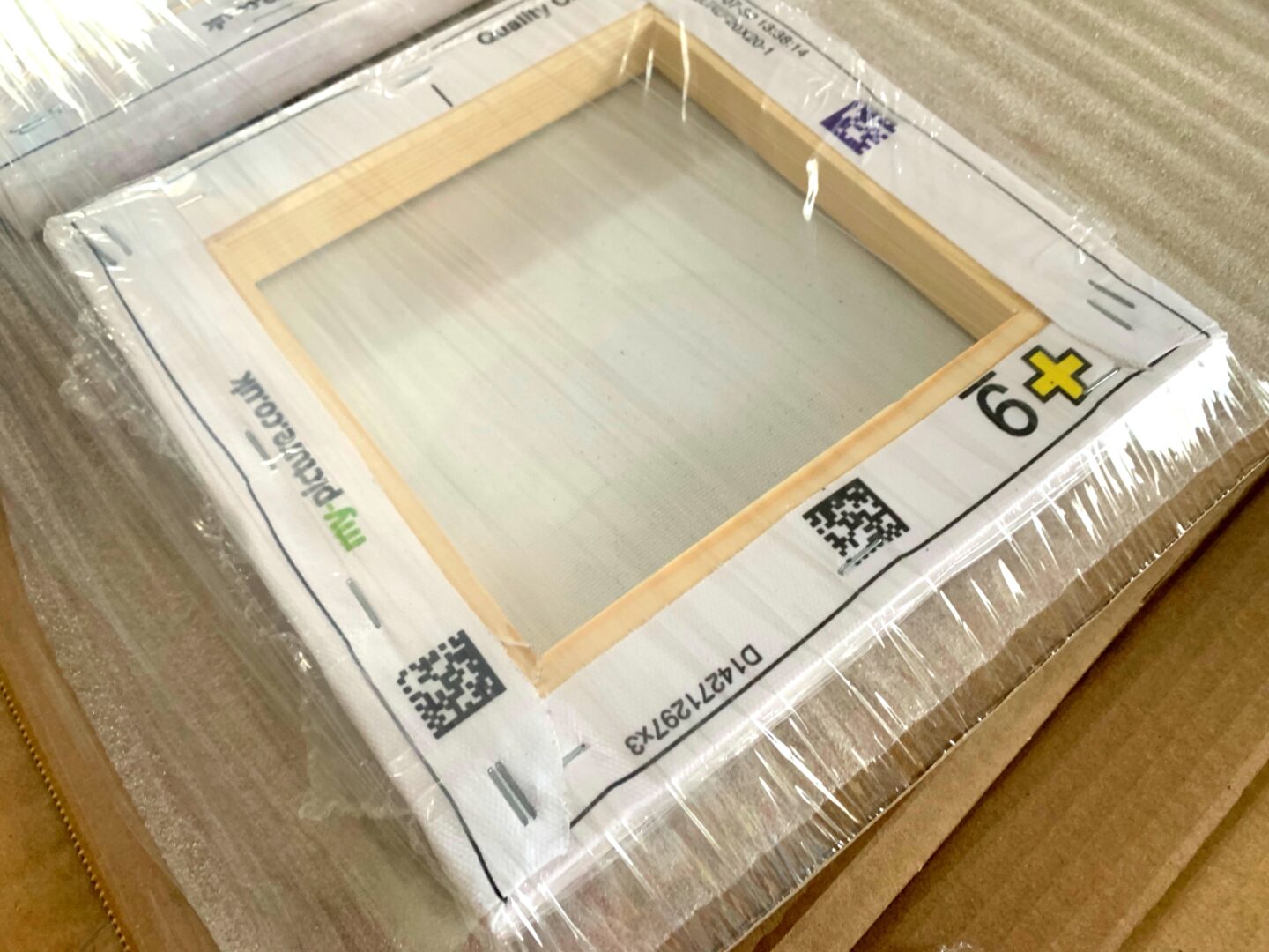 A photo of my canvas in its cardboard packaging.