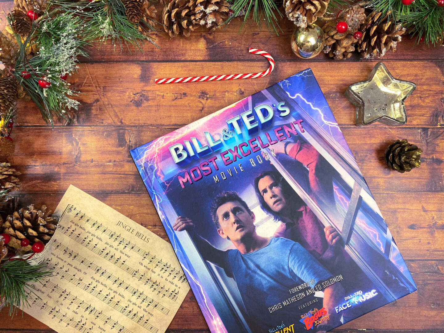 Bill and Ted's Most excellent Adventure book