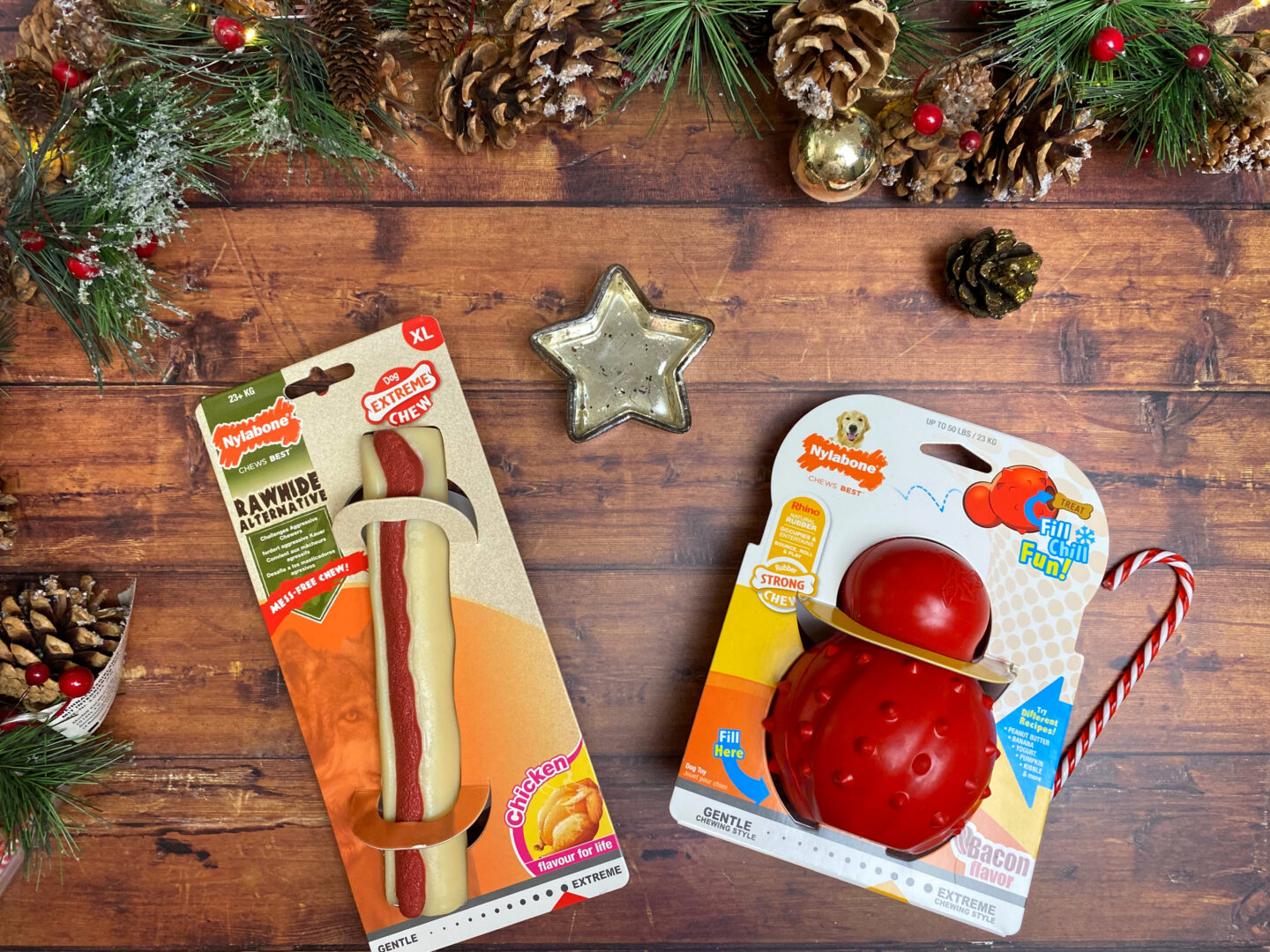 Nylabone dog toys