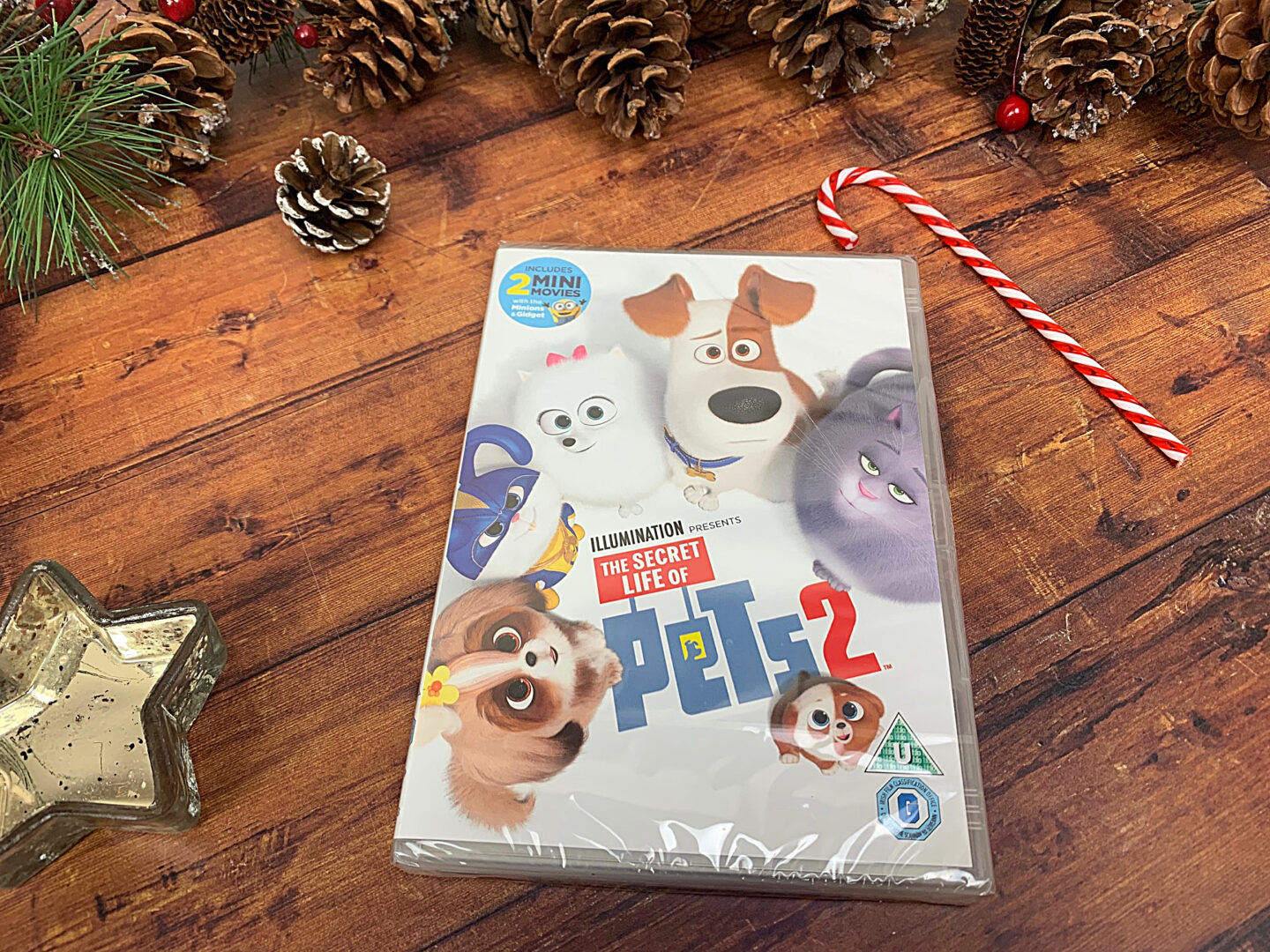 Pets 2 dvd