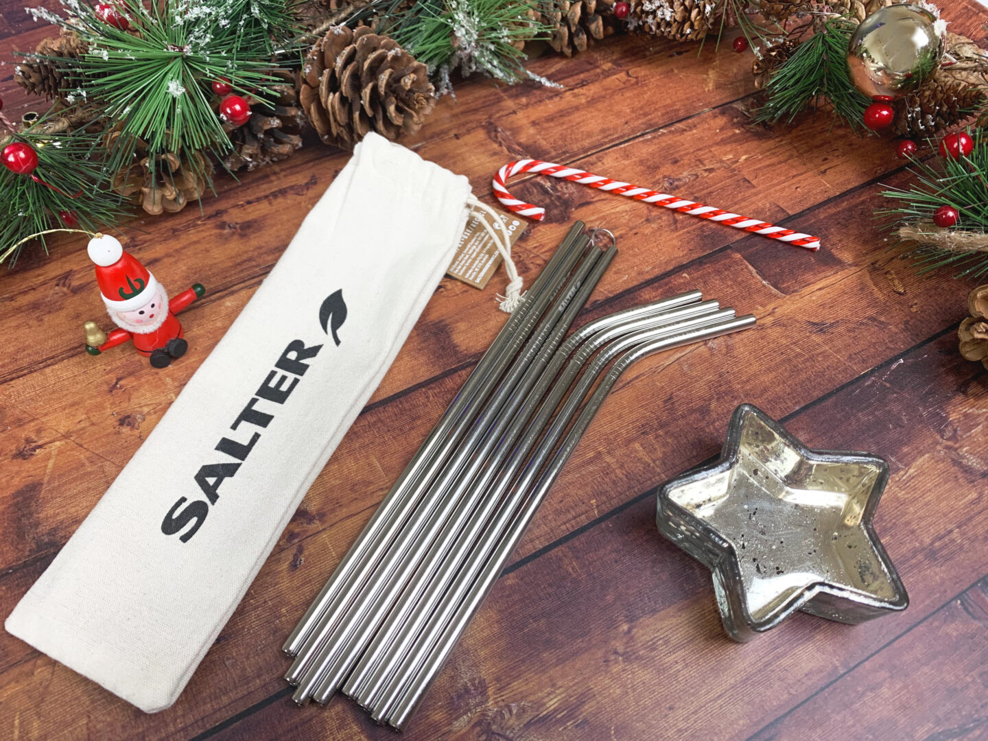 Salter stainless steel straws set