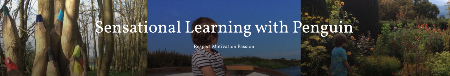 Sensational Learning With Penguin blog header
