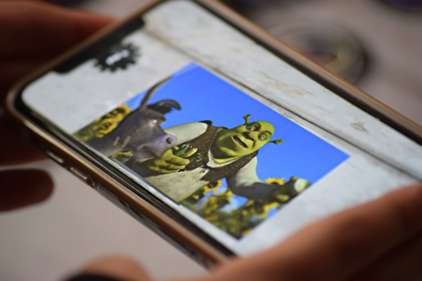 Watching Shrek on the Dreamworks AR Discs