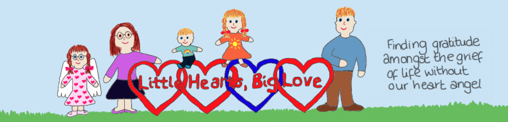 Little Hearts, Big Love blog header
