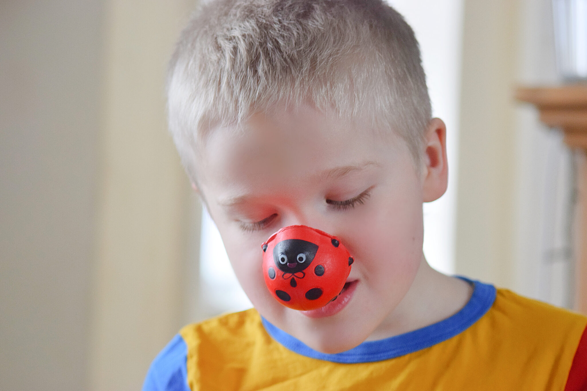 A boy wearing a ladybird nose for red nose day