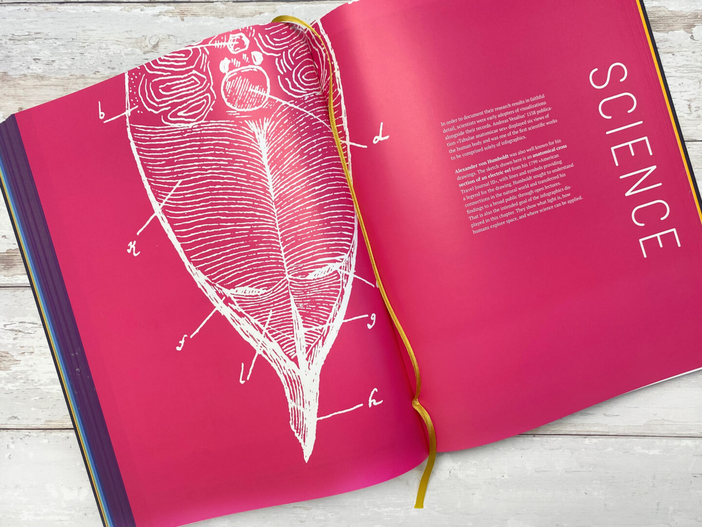 The world eplained in 264 infographics book