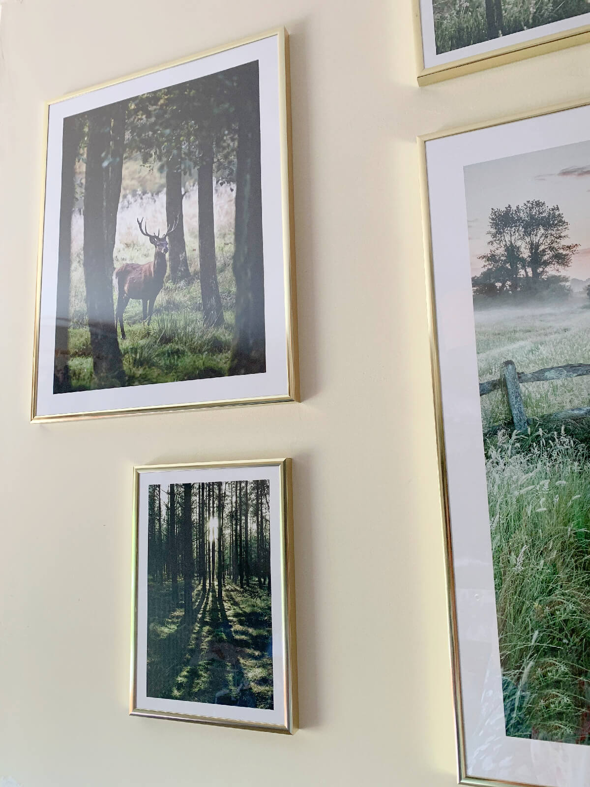 STag print on a magnolia wall