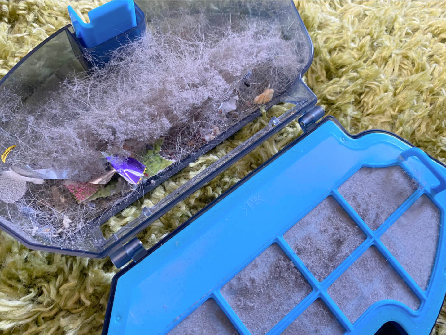 Dust and hair inside a robot vacuum dust box.