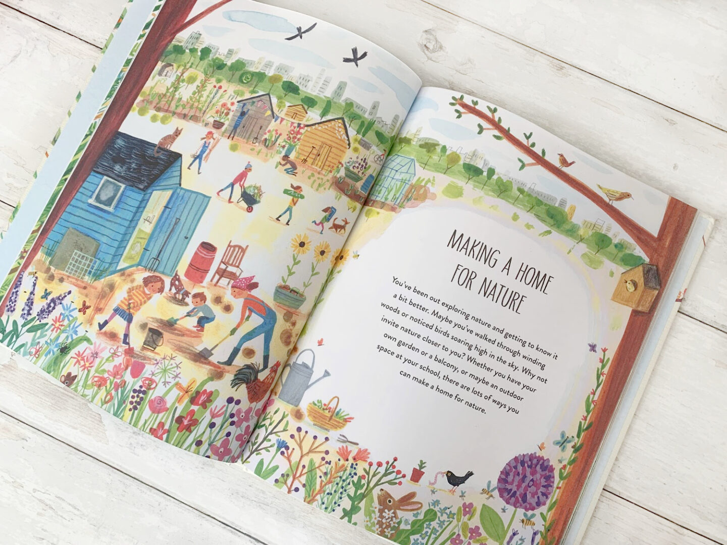 How to make a home for nature. A section inside the children's book - A friend to nature.