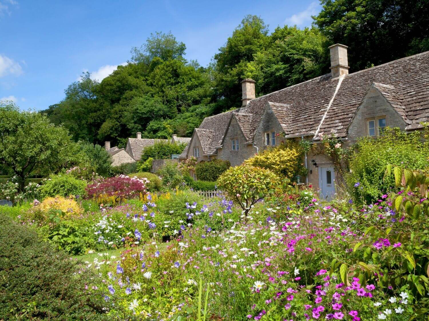 A beautiful rural cottage with a colourful wildflower garden.