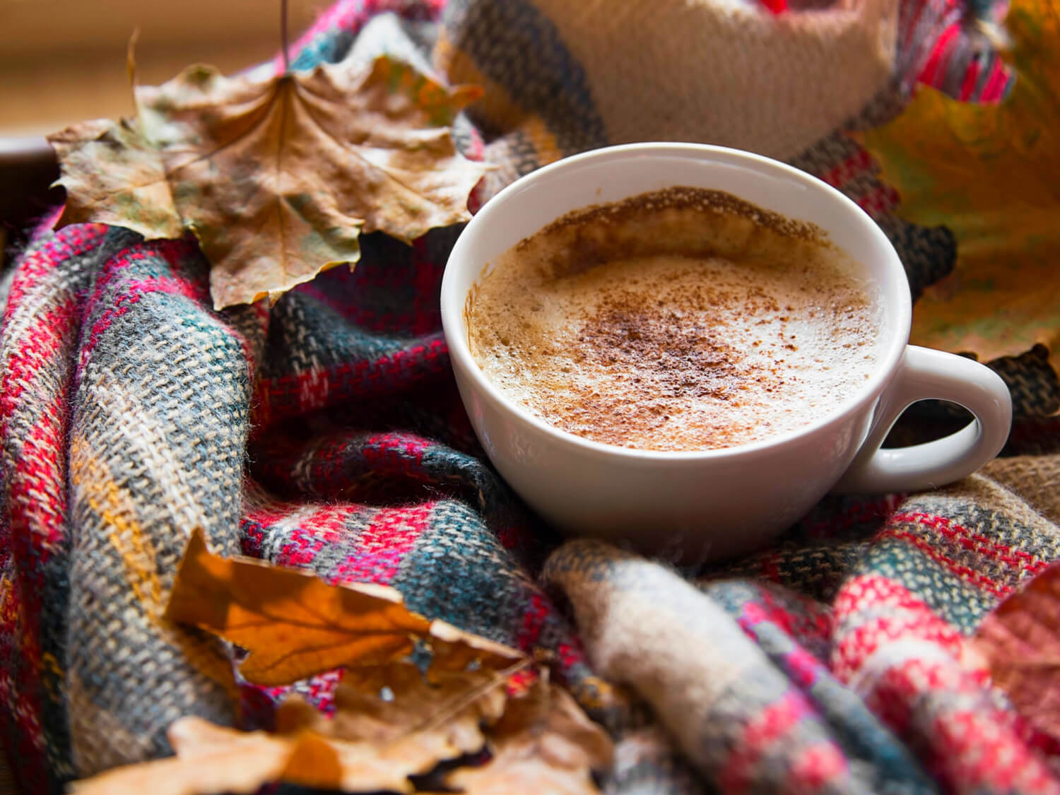 A check multi-coloured blanket with a latte in a white mug. Autumnal red leaves are scattered on the blanket.