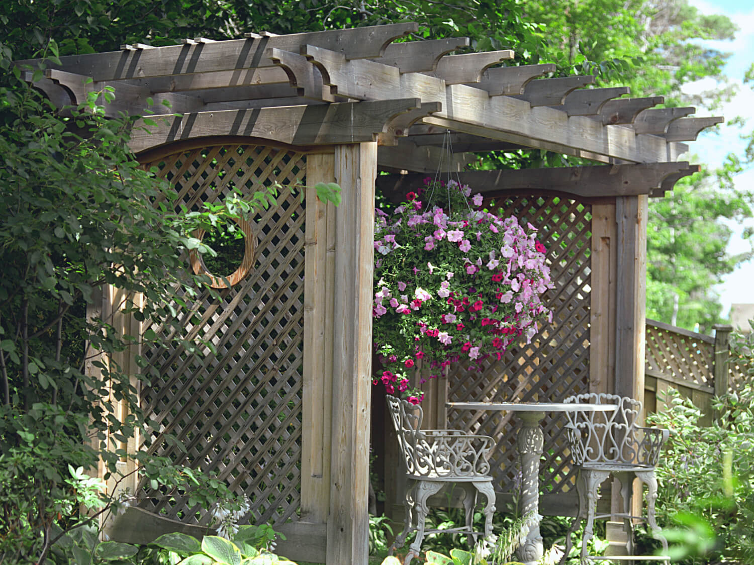 A pergola at the end of a garden surrounded by evergreens with latice side panels and a huge hanging basket full of purple. pink and white flowers. There is a cast iron tables and chair set underneath.
