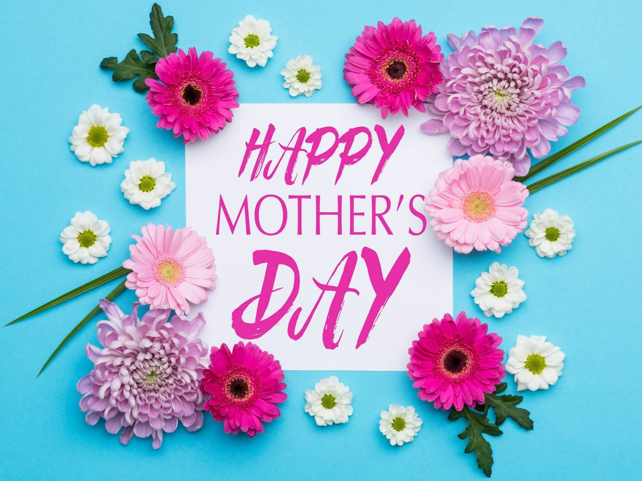A blue background with a white piece of paper saying 'Happy Mother's Day' surrounded by pink carnations and gerberas.