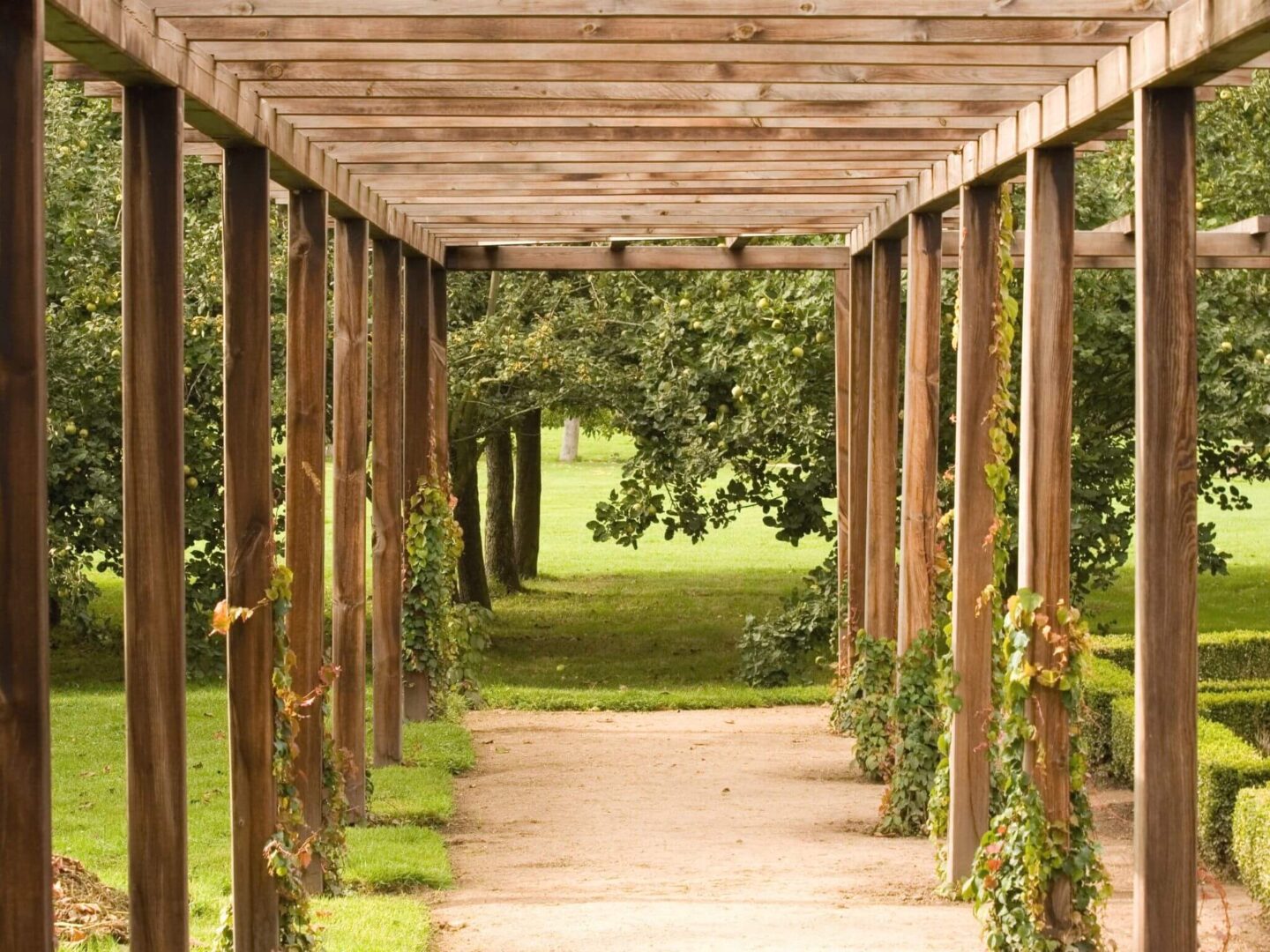 Pergola in a large open garden 1