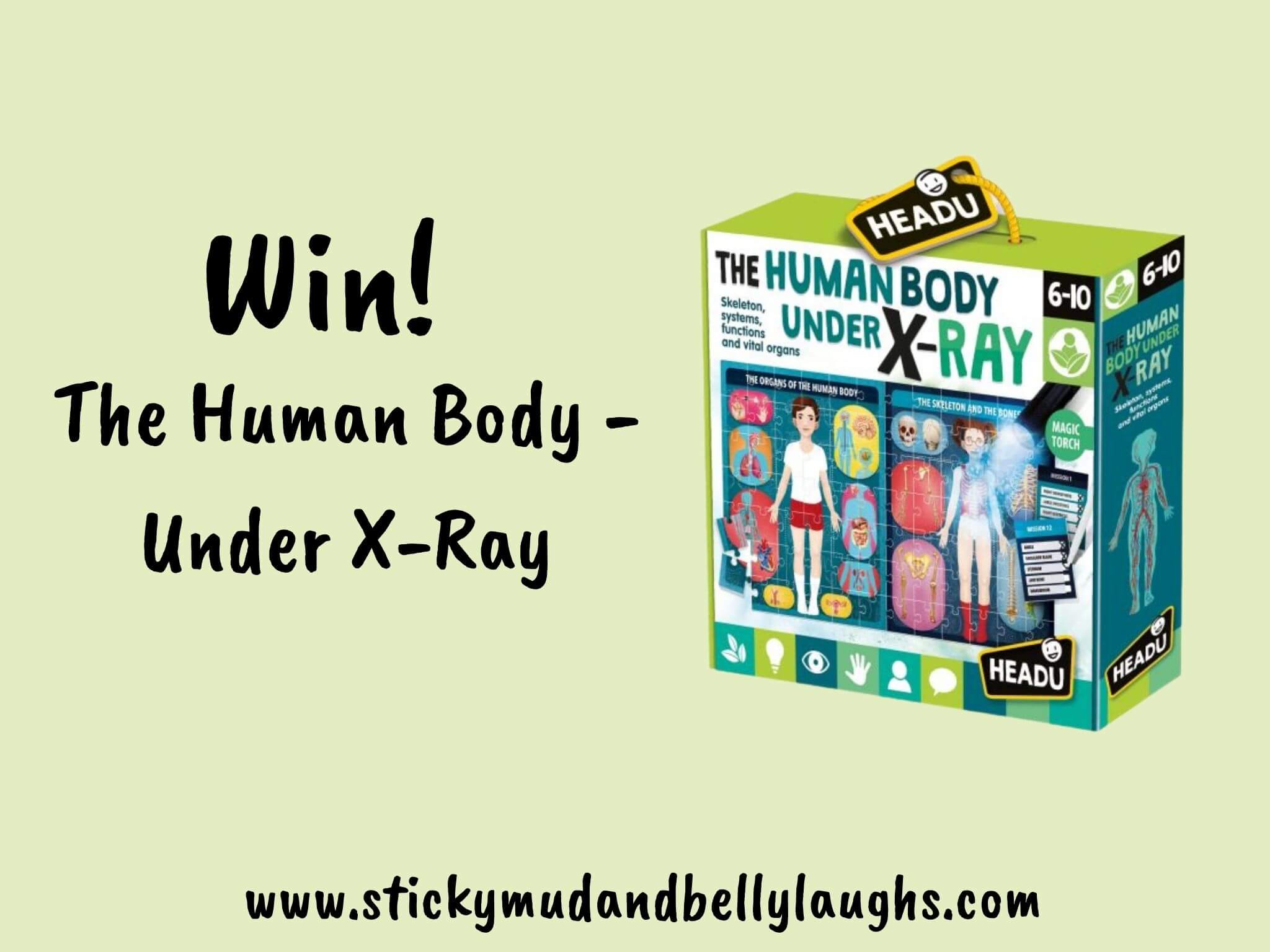 Win The Human Body – Under X-Ray Puzzle