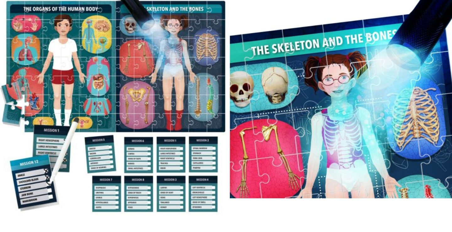 A human body puzzle with a UV torch shining above.