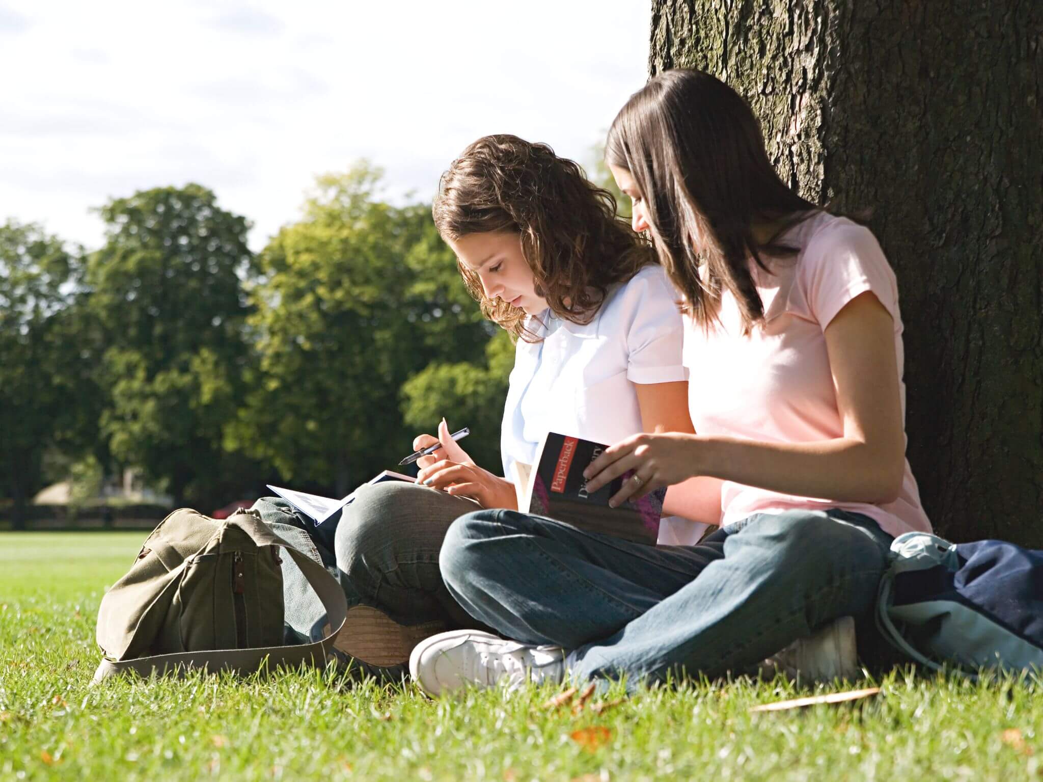 High scool aged girls sitting by a tree revising