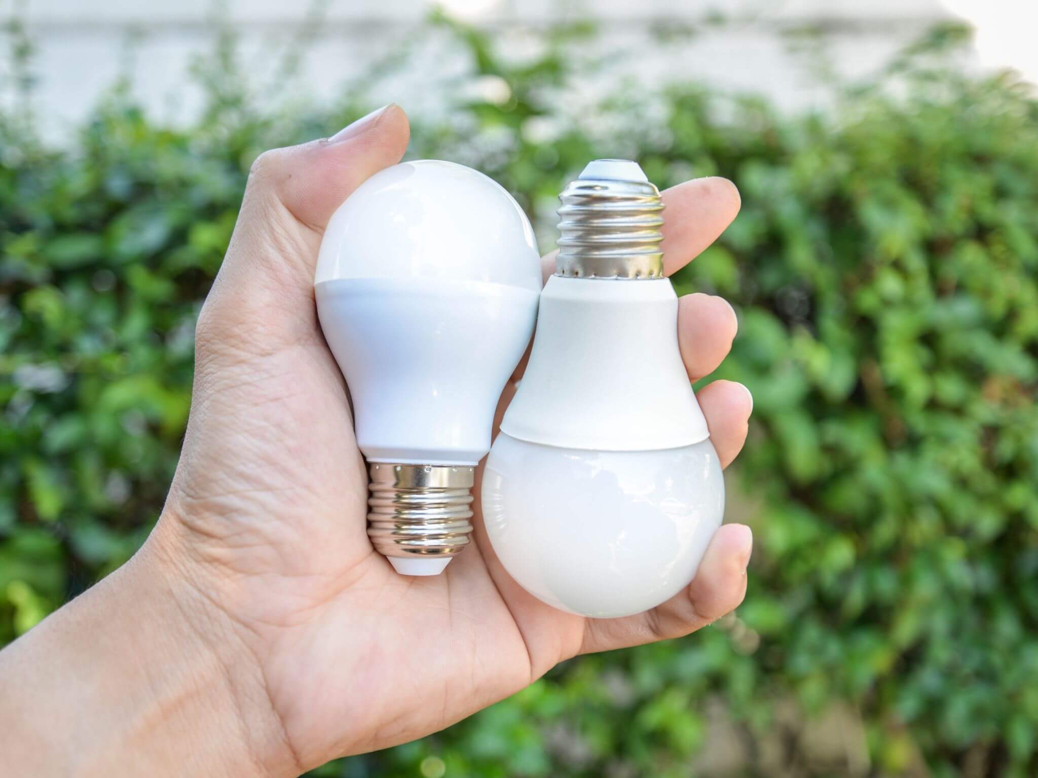 A close up of a hand holding LED bulbs