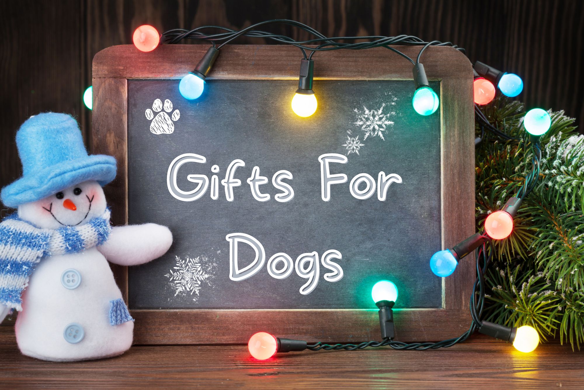Christmas Gift Ideas For Dogs